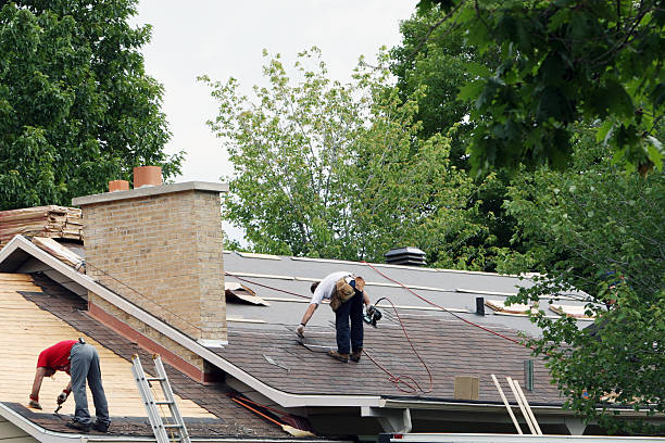 Best Gutter Installation and Roofing  in Trappe, PA