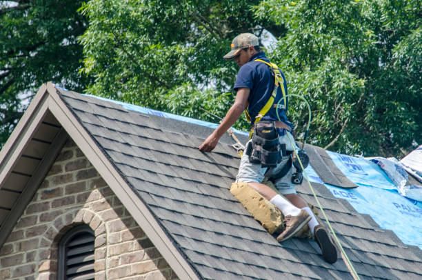 Best Shingle Roofing Installation  in Trappe, PA